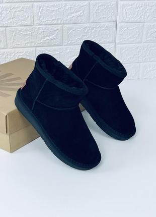 Ugg mini замш угги женские низкие низенькие угг уггі угі жіночі черевики6 фото