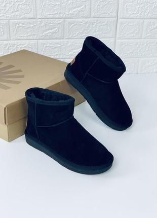 Ugg mini замш угги женские низкие низенькие угг уггі угі жіночі черевики7 фото