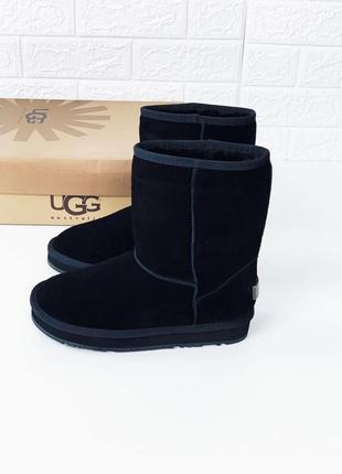 Ugg женские угги замш высокие средние замшевые уггі2 фото