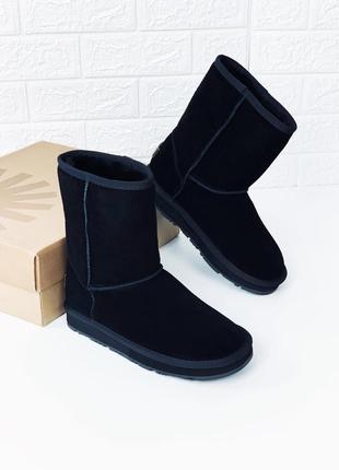 Ugg женские угги замш высокие средние замшевые уггі3 фото