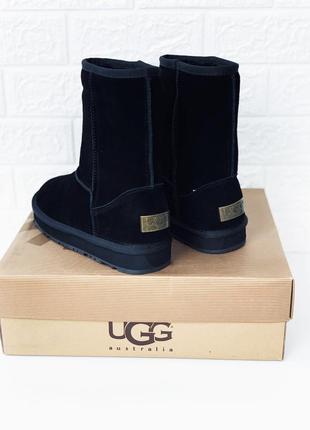 Ugg женские угги замш высокие средние замшевые уггі6 фото