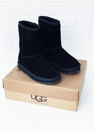 Ugg женские угги замш высокие средние замшевые уггі5 фото