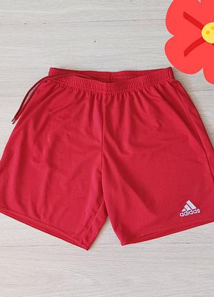 Мужские спортивные шорты adidas