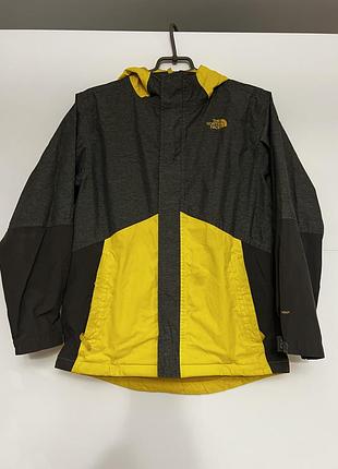 Вітровка the north face