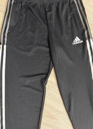 Штани спортивні adidas