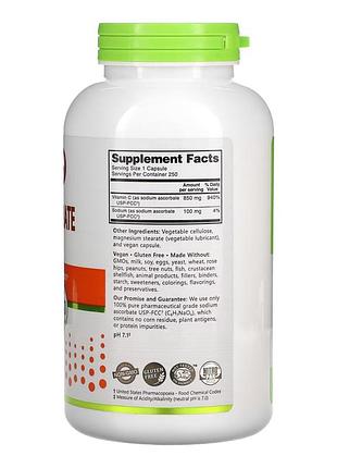 Витамин c для иммунитета nutribiotic sodium ascorbate 250 капсул — антиоксидант для защиты от вирусов 2