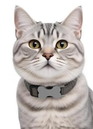 Нашийник для котів капроновий "бетті" 1 см сірий