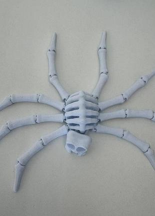 🕷️ разноцветные яркие пауки-антистресс (подвижные лапки, 20 см) белый