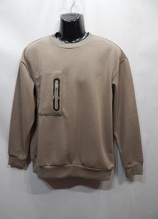 Мужская демисезонная кофта (свитшот) р.50 (м) 063zmt