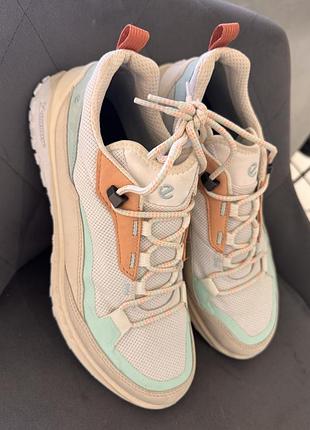 Кросівки ecco