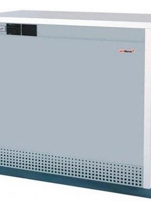 Газовий котел підлоговий protherm гризлі 65 klo