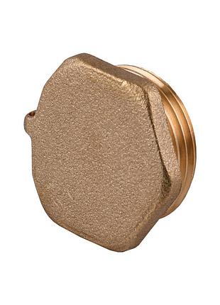 Заглушка 1″н латунная под пломбу lc502p optimum