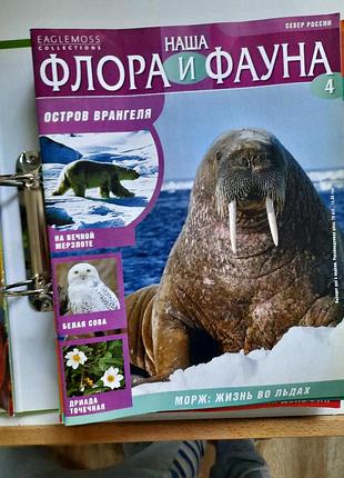 Журнал наша флора и фауна номера с 1 по 67