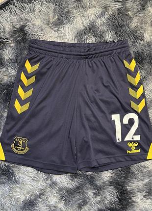 Чоловічі шорти бренду hummel, футбольний клуб everton