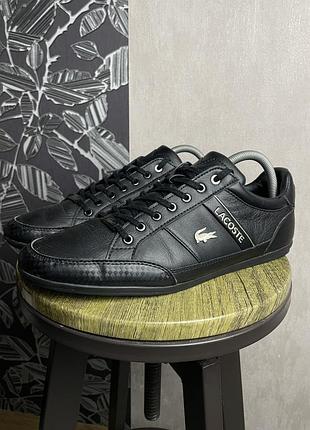 Мужские кожаные кроссовки, кеды lacoste, размер 44