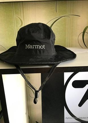 Панама marmot