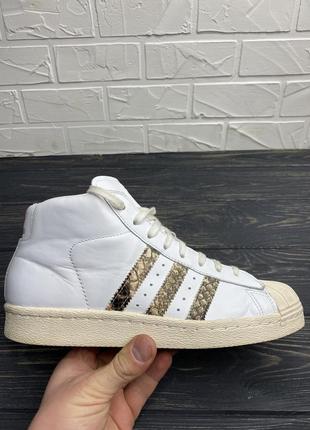 Женские кроссовки adidas superstar hi