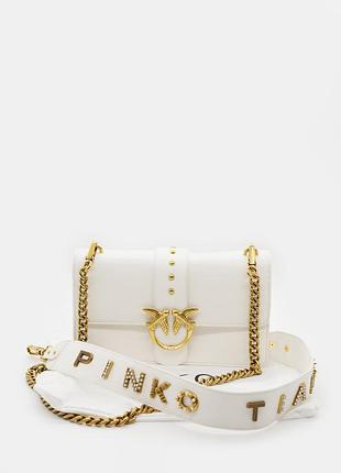 Pinko premium 27х18х7