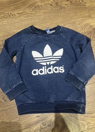 Світшот на хлопчика adidas, на 3-4 роки , синій