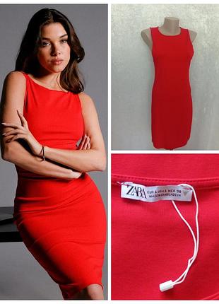 Котонова сукня zara