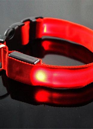 Светящийся led ошейник для собак и кошек карсный xxl