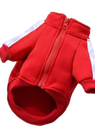 Спортивная кофта на молнии для котов pet style "sport line" красная m