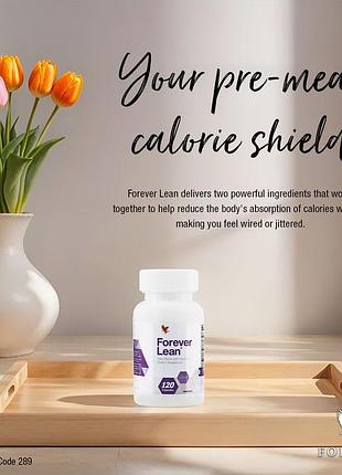 Форевер лин | forever lean 2