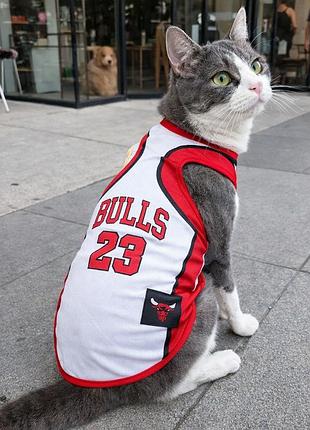Спортивная майка для котов “bulls 23” красная, размер 3xl