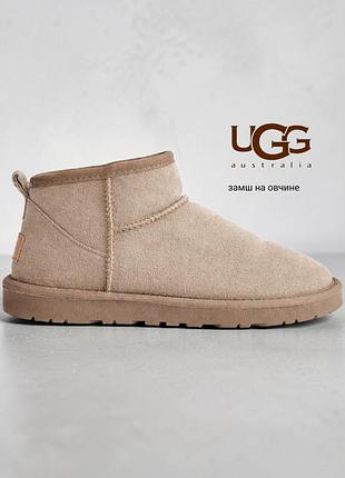 Ugg замшивые мини угги
