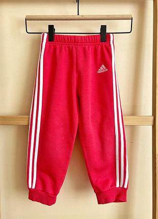 Спортивні штанці на дівчинку від adidas