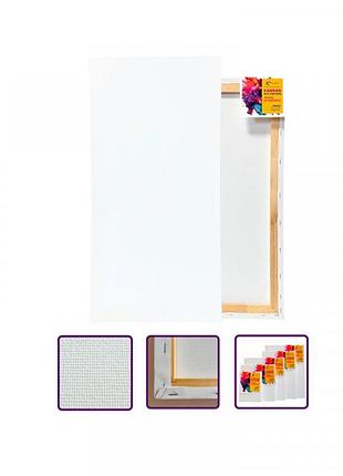 Холст на подрамнике artcraft 40x80 см 13035