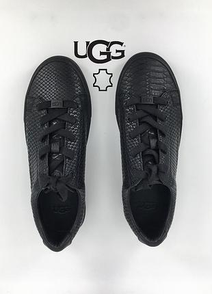 Женские кроссовки ugg 38 оригинал