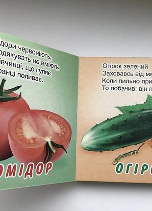 Книга-картонка. це що? гарбуз а-6