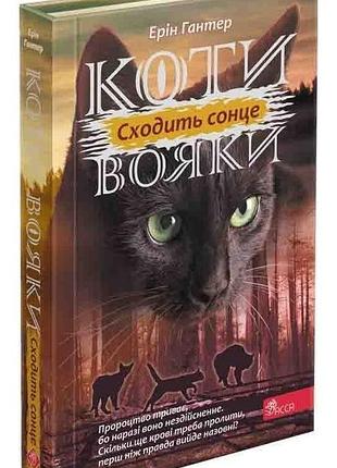 Коти - вояки. сила трьох. книга 6. сходить сонце