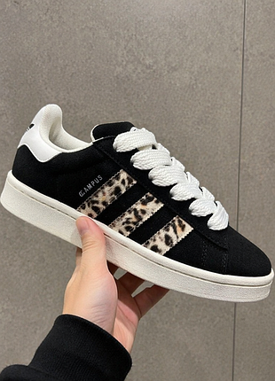 Кросівки адидас adidas campus