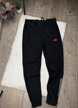 Спортивні штани the north face
