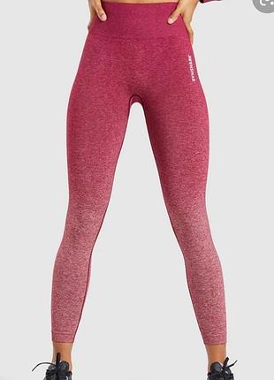 Жіночі легінси gymshark adapt ombre