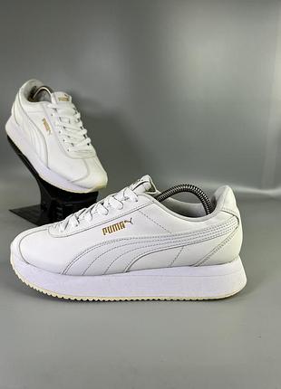 Кросівки puma
