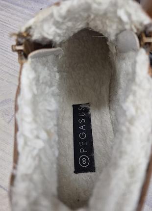 Сапоги pegasus 7