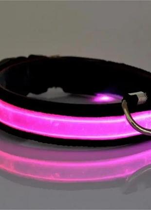 Нашийник для собак світлодіодний led рожевий розмір m top shop ua_