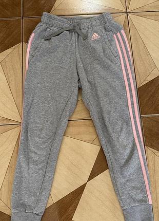 Жіночі спортивні штани adidas