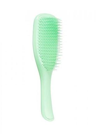 Расческа tangle teezer the wet detangler mint karma. оригинал1 фото