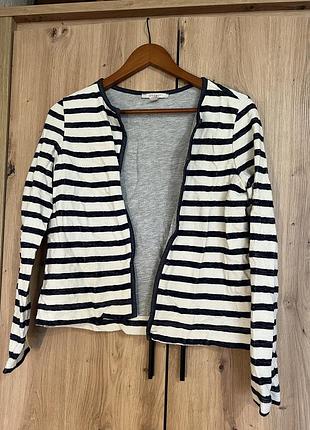 Кофта esprit в полоску жіноча, xs/s.