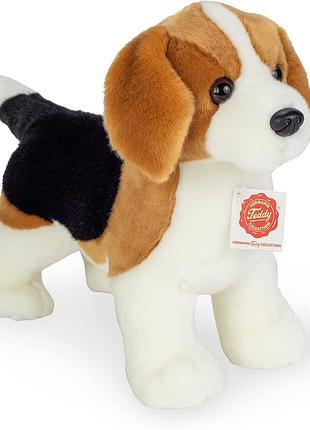 Якісна м'яка іграшка собака цуценя бігль hermann teddy collection германія