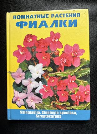 Фіалки (сенполії, глоксинії, стрептокарпуси)