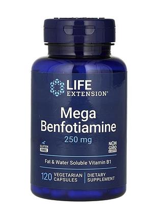 Mega benfotiamine 250 mg - 120 vcaps