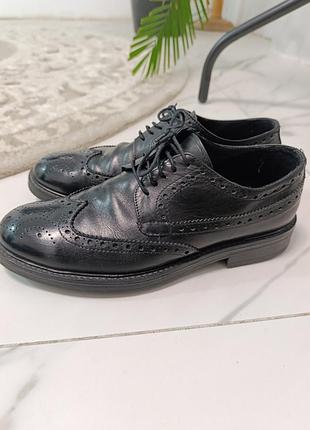 Туфлі trussardi collection 43 8