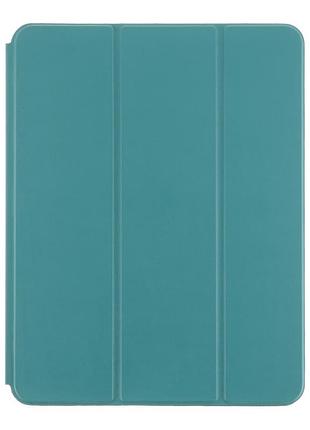 Стильный чехол без логотипа (smart case) на ipad pro 13 дюйма 2024 (чип m4) a2925,a2926,a3007 pine green