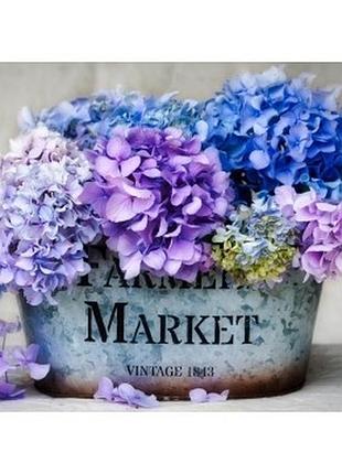 Алмазна мозаїка colorart квіти гортензії 30х40 st467