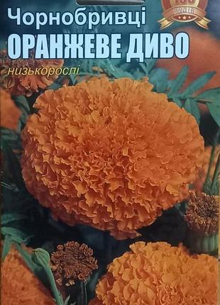 Насіння чорнобривців "жовтогаряче диво" низькорослі